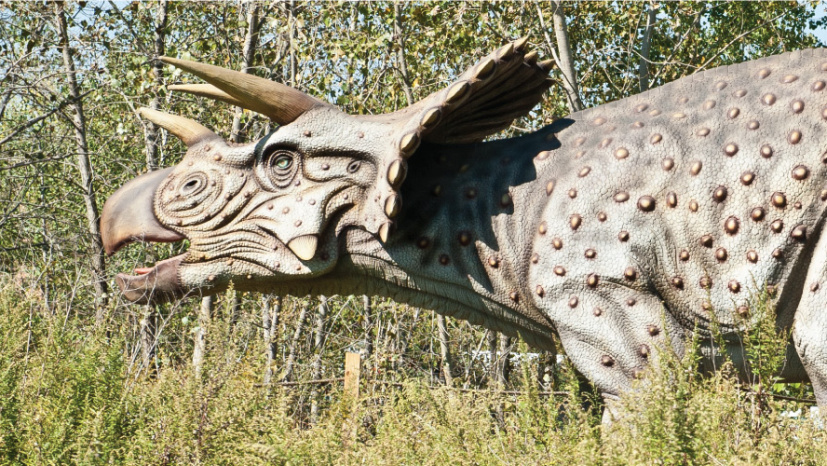 triceratops_pano.jpg