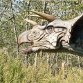 triceratops_pano