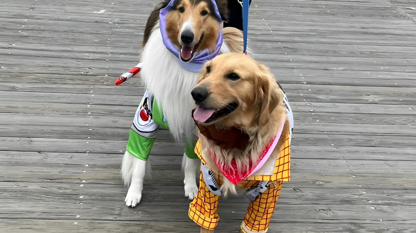 Dog Day and Howl-O-Ween Parade - Ocean City NJ1.jpg