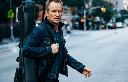 sting