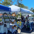 Farmers Market and Crafts