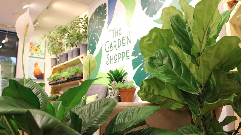 Plant Pop-Up Market - The Garden Shoppe.jpg