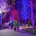 Zoo Lights - Lincoln Park Zoo