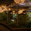 Moonlight in the Garden - JC Raulston Arboretum