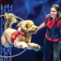Stunt Dogs - Carpenter Performing Arts Center