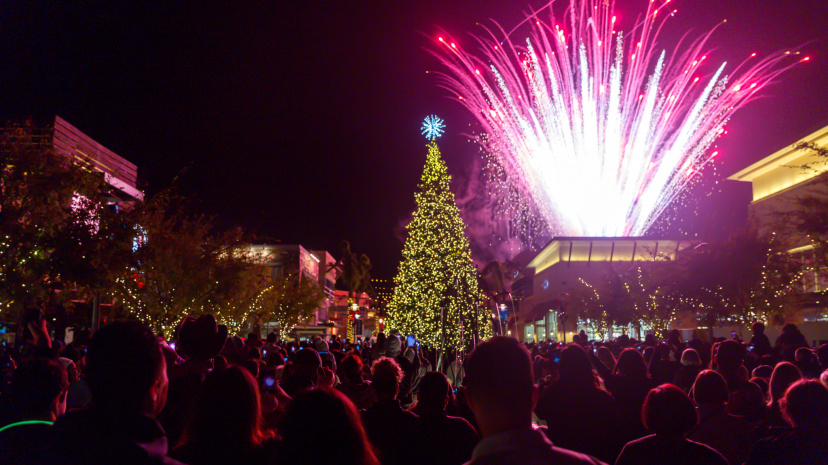 Tree Lighting Celebration at The Collection at RiverPark.jpg