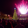 Tree Lighting Celebration at The Collection at RiverPark