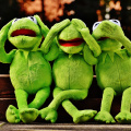 flower-cute-green-frog-amphibian-toy-398848-pxhere.com