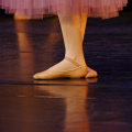 leg-dance-color-foot-slipper-ballet-971829-pxhere.com.jpg