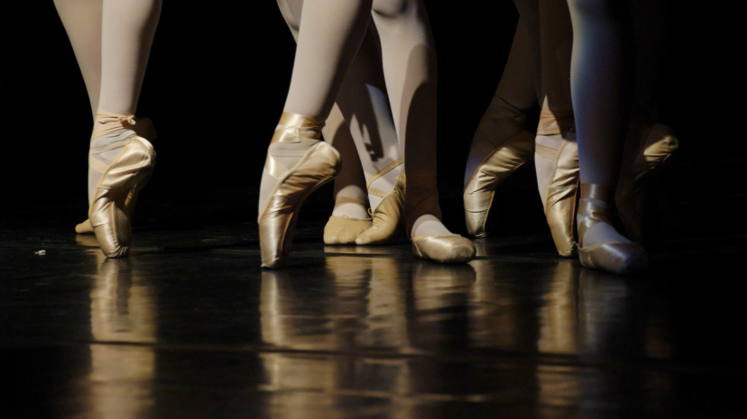 leg-dance-foot-slipper-ballet-performance-art-971837-pxhere.com.jpg