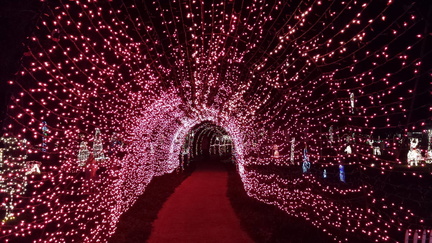 Dickinson Festival of Lights