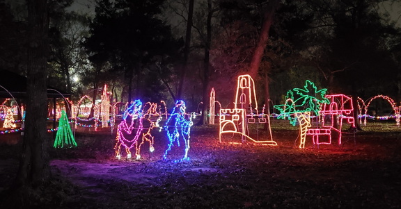 Dickinson Festival of Lights2