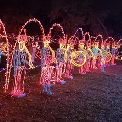 Dickinson Festival of Lights3