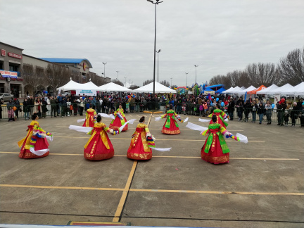 Lunar New Year Houston3