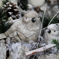 branch-snow-winter-white-wildlife-zoo-340855-pxhere.com