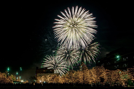 New Year’s Eve Fireworks Spectacular - Holiday Lights Festival3