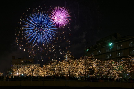 New Year’s Eve Fireworks Spectacular - Holiday Lights Festival5