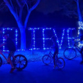 Bicycle Ride through the lights - Lights 4 Hope, Inc.