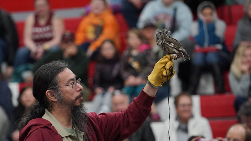 International Festival of Owls Minneapolis MN.jpg