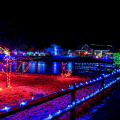 Holiday Zoo Lights - Springfield Park District