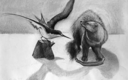 Drawing Wild