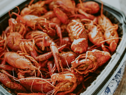 Crawfish1
