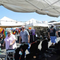 NEW YEAR’S ART and CRAFT FESTIVAL ON CATALINA POINTE