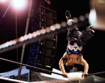 Micro Wrestling4