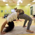 Cat Yoga - Lynchburg Humane Society