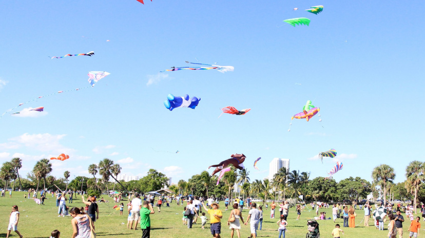 Kite Festival at Haulover Park - Skyward Kites.jpg