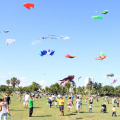 Kite Festival at Haulover Park - Skyward Kites