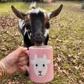 Valentine Paint Pottery & Sip with Goats