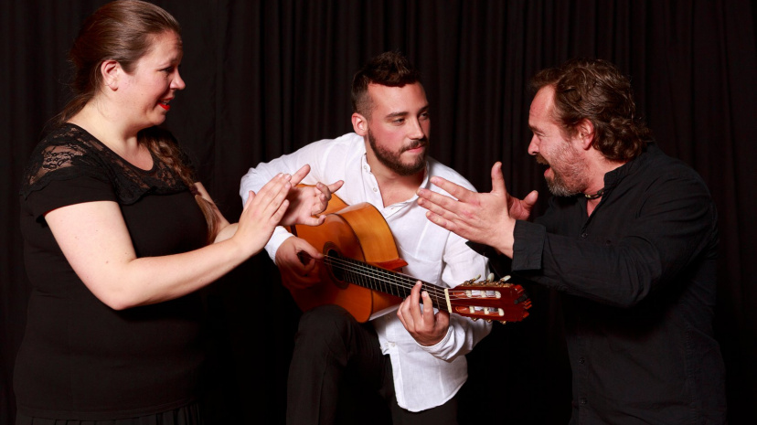Daniel Martinez Flamenco Company.jpg