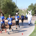 funny-bunny-race-2018-39