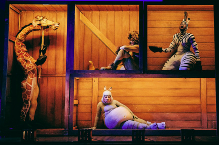 Madagascar the Musical