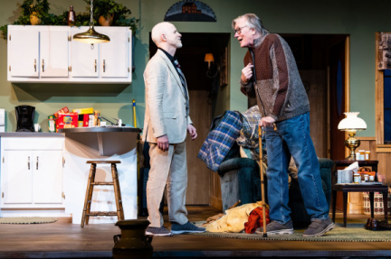 Harry Townsend's Last Stand  - Meadow Brook Theatre