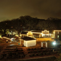 Night on the Town - Mississippi Agriculture & Forestry Museum