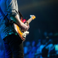 person-music-guitar-concert-audience-musician-51334-pxhere.com