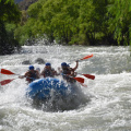 free-photo-of-men-rafting-on-gusty-river