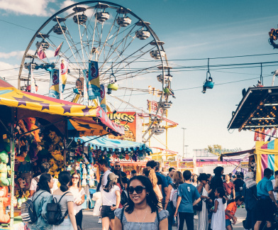 pexels-harrison-haines-2869375