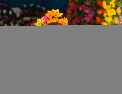 danie-franco-A6Y1CkGQnZg-unsplash