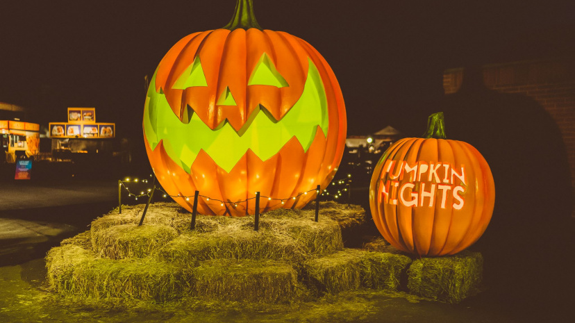 Pumpkin Nights.jpg