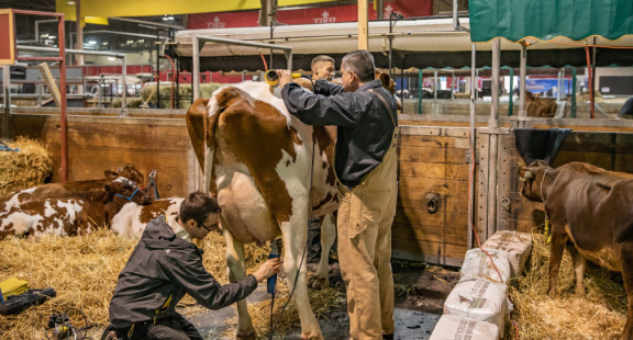 The Royal Agricultural Winter Fair