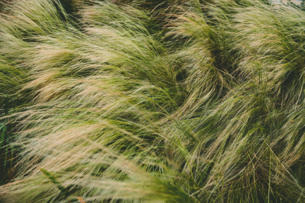 benjamin-cheng-bxU2um8kUec-unsplash