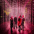 Lightscape2023_SquidSoup
