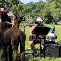 Music with Mammals & Mr. Scott