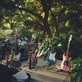 free-photo-of-four-electric-guitars-standing-on-a-stage-before-a-concert-in-a-park
