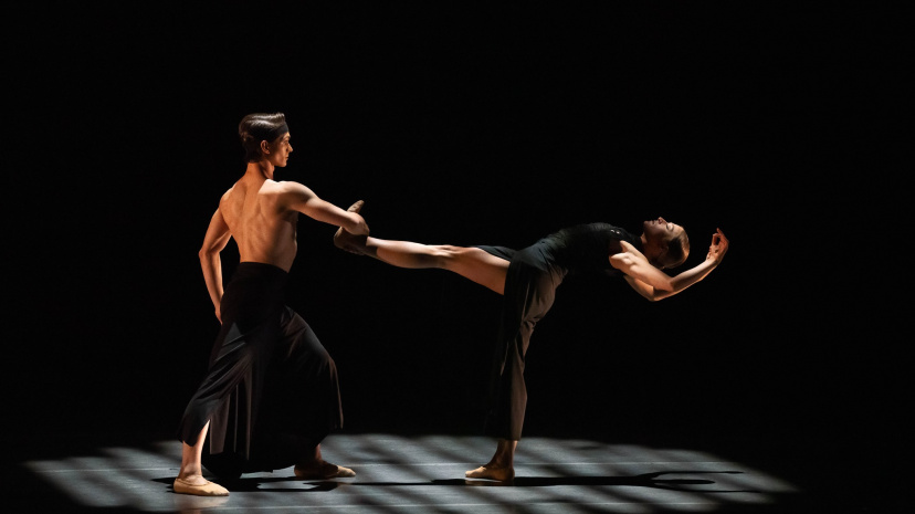 Elevate - American Repertory Ballet.jpg
