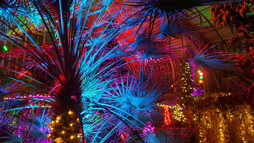 Bright Nights - Lauritzen Gardens.jpg
