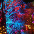 Bright Nights - Lauritzen Gardens